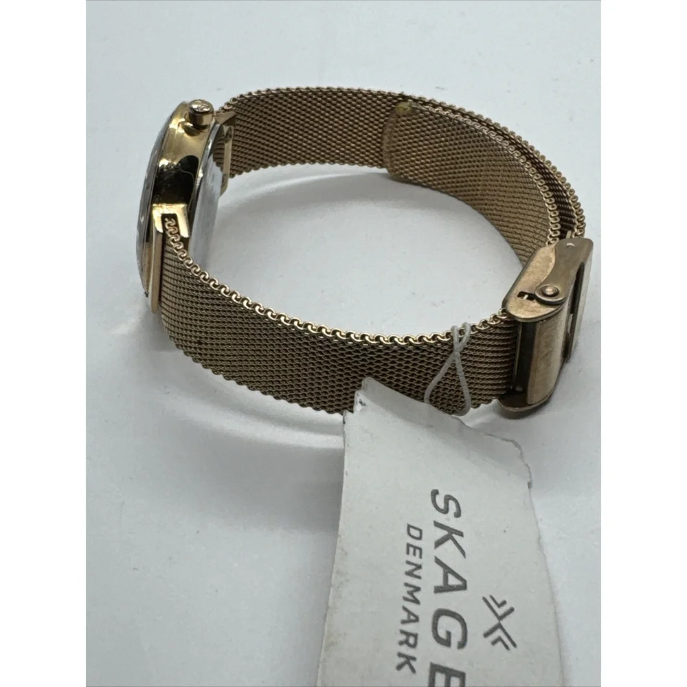 Skagen Leonora 456SRR1 Womens Rose Gold-Tone Steel Mesh Analog Dial Watch AEA155